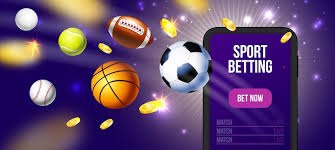 The Top Sports to Bet on in 2025 13 The Top Sports to Bet on in 2025 13